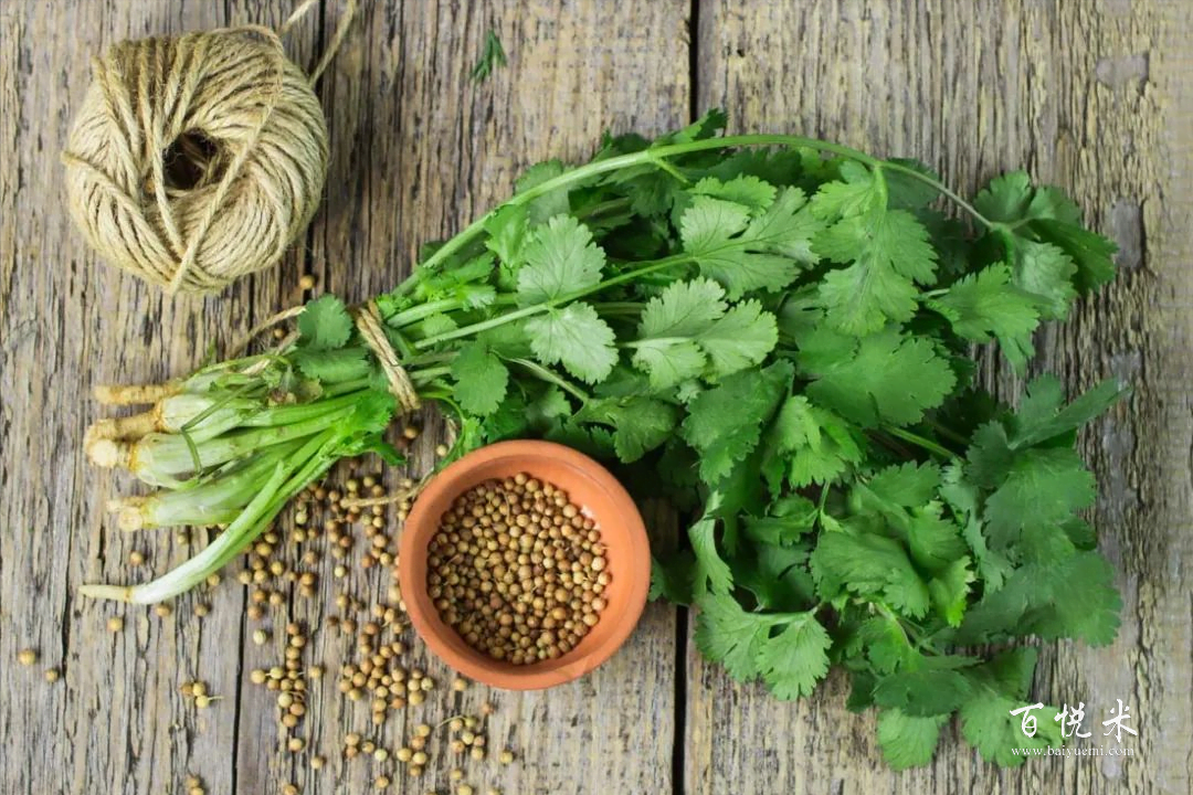 為什么要用金酒為基酒來調(diào)雞尾酒？那是因?yàn)榻鹁朴羞@些原料